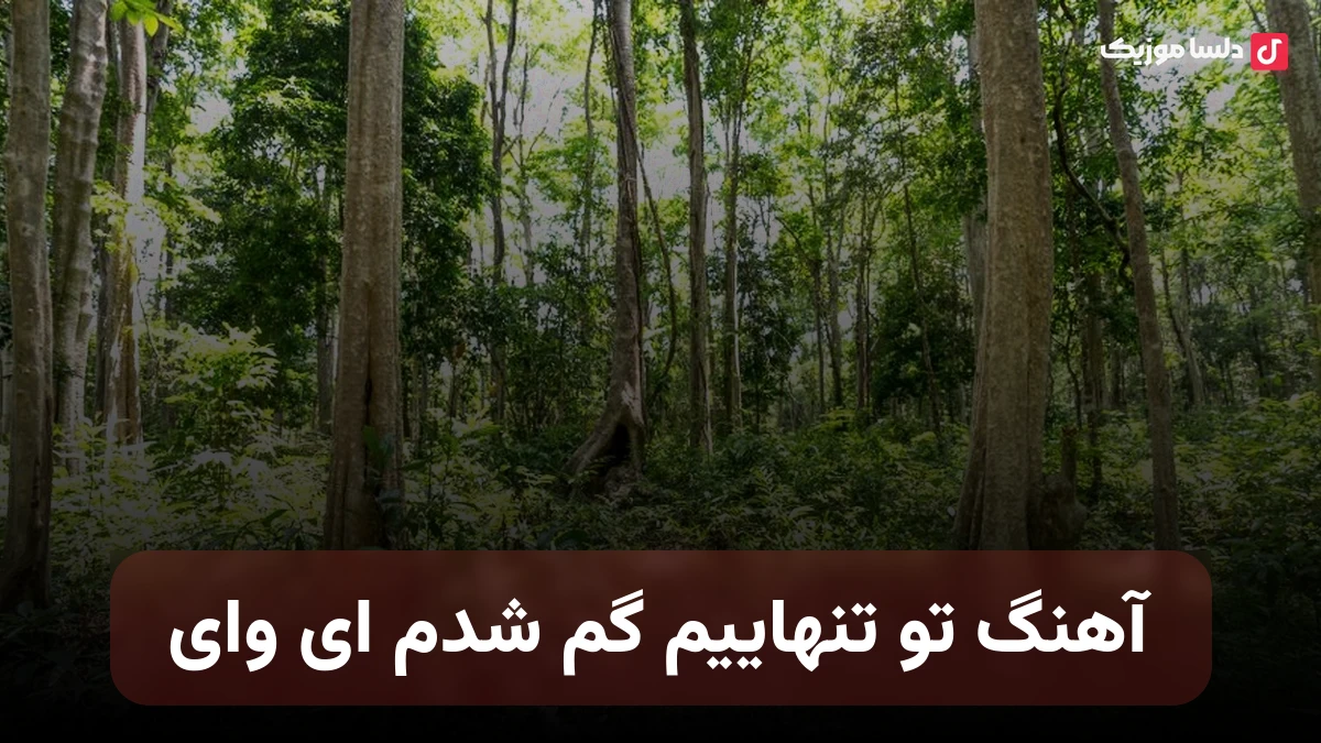  تو تنهاییم گم شدم ای وای صدای زن